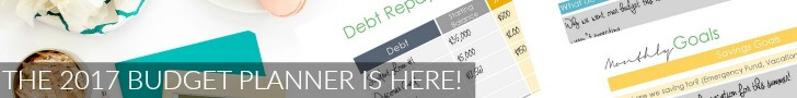 2017 BUDGET PLANNER