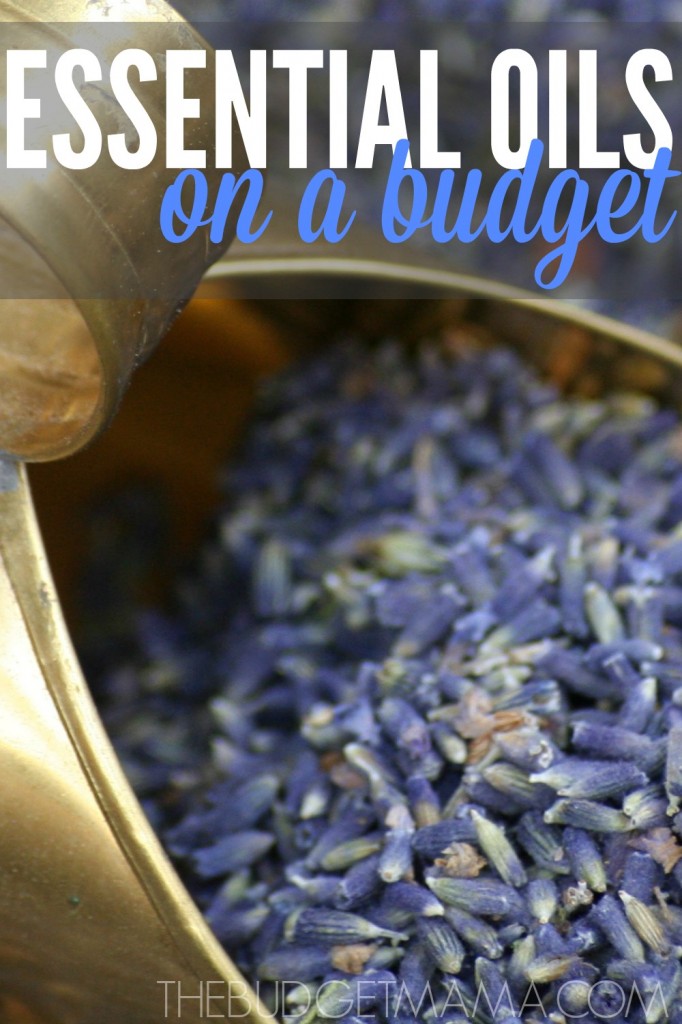 Wondering how to purchase essential oils on a budget? These tips will help you figure out how to purchase quality essential oils on a budget. 
