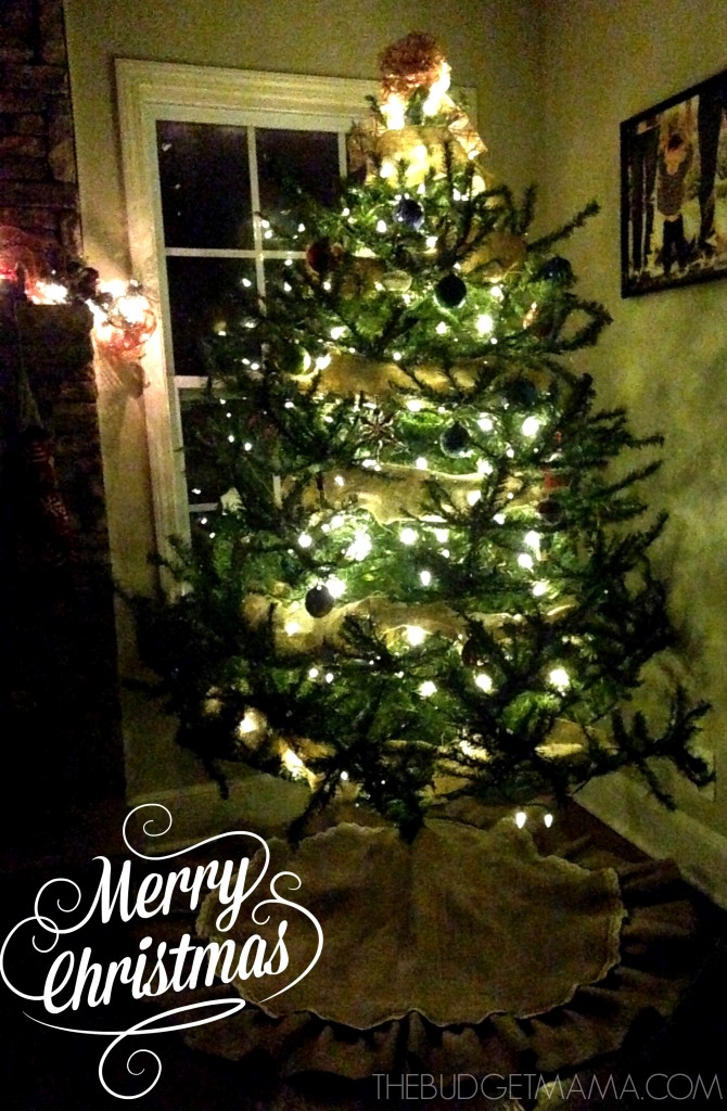 Our 30 Year Old Tree