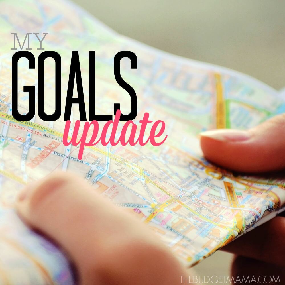 These are my 2016 goals where I share my blogging income and how I made money blogging along with my personal and financial goals for the year.