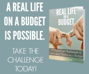 A Real Life on a Budget is Possible 300x250 Banner