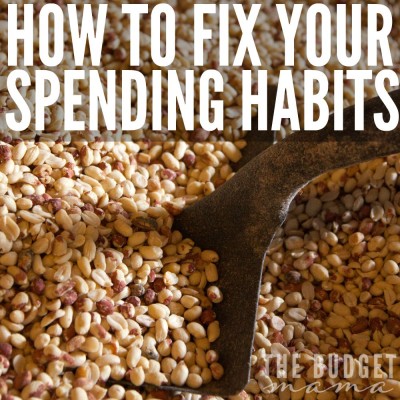 How to Fix Spending Habits -- What happens when you have a budget, but it keeps failing month after month? Is it a spending problem that maybe you don't want to admit you have? Or do you simply have a spending habit that needs to be put in check? These tips will help you figure out how to fix your spending habits once and for all. 