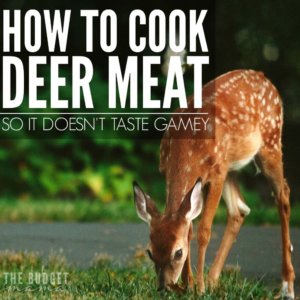 easy for me to learn how to do. Since deer meat saves us so much on our grocery bill I had to figure it out and these are just a few of the ways that I use to help make deer meat taste a little better.