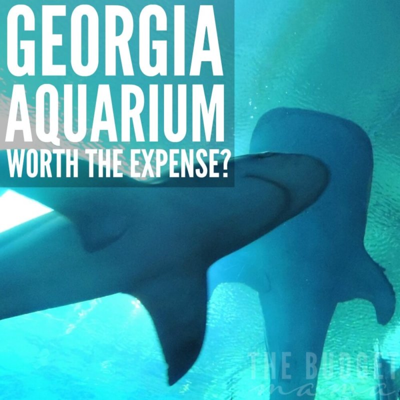 Is the Georgia Aquarium worth the expense? YES! Okay, so how do you afford to pay for a visit in cash? This is our experience and how we paid in cash for it.