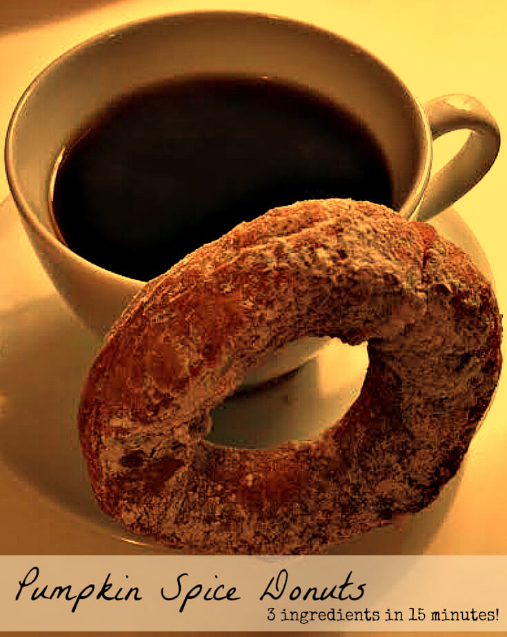 donut