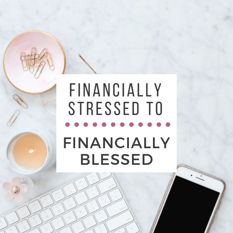 I used to live with financial stress every single day. It was so hard to make the changes we needed in order to fix our mess, but it was so worth it!