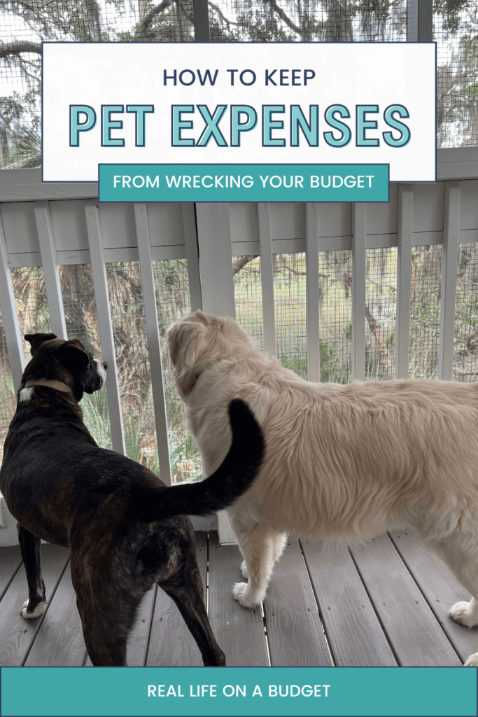 We love our fury ones but they can sometimes be expensive. Here's how we budget to pay for pet expenses to keep them from wrecking our budget.
