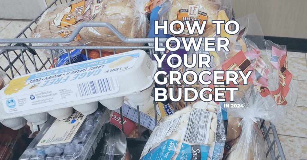 Lowering your grocery spending doesn't have to be complicated. Here's how my family is planning to lower grocery spending in 2024.